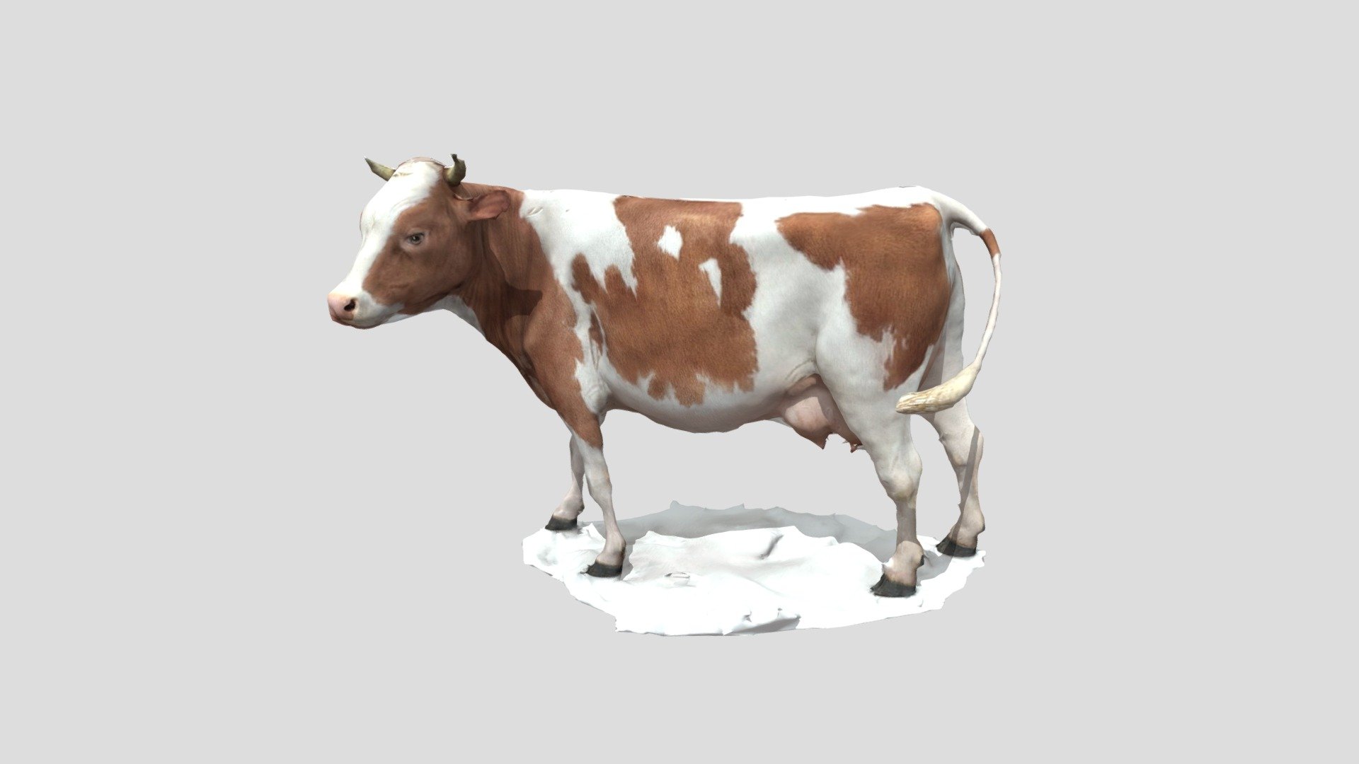 Cow brown 3d model