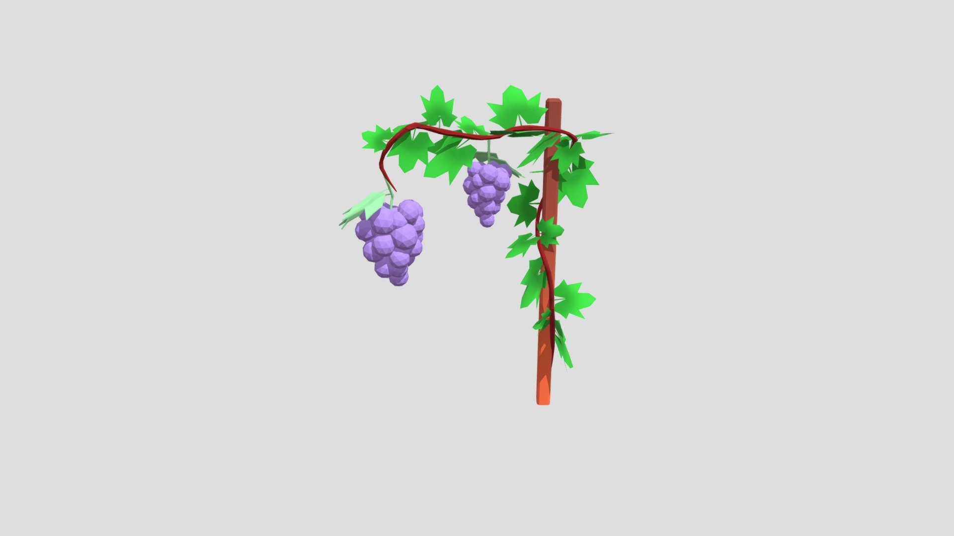 Grapevine 3d model