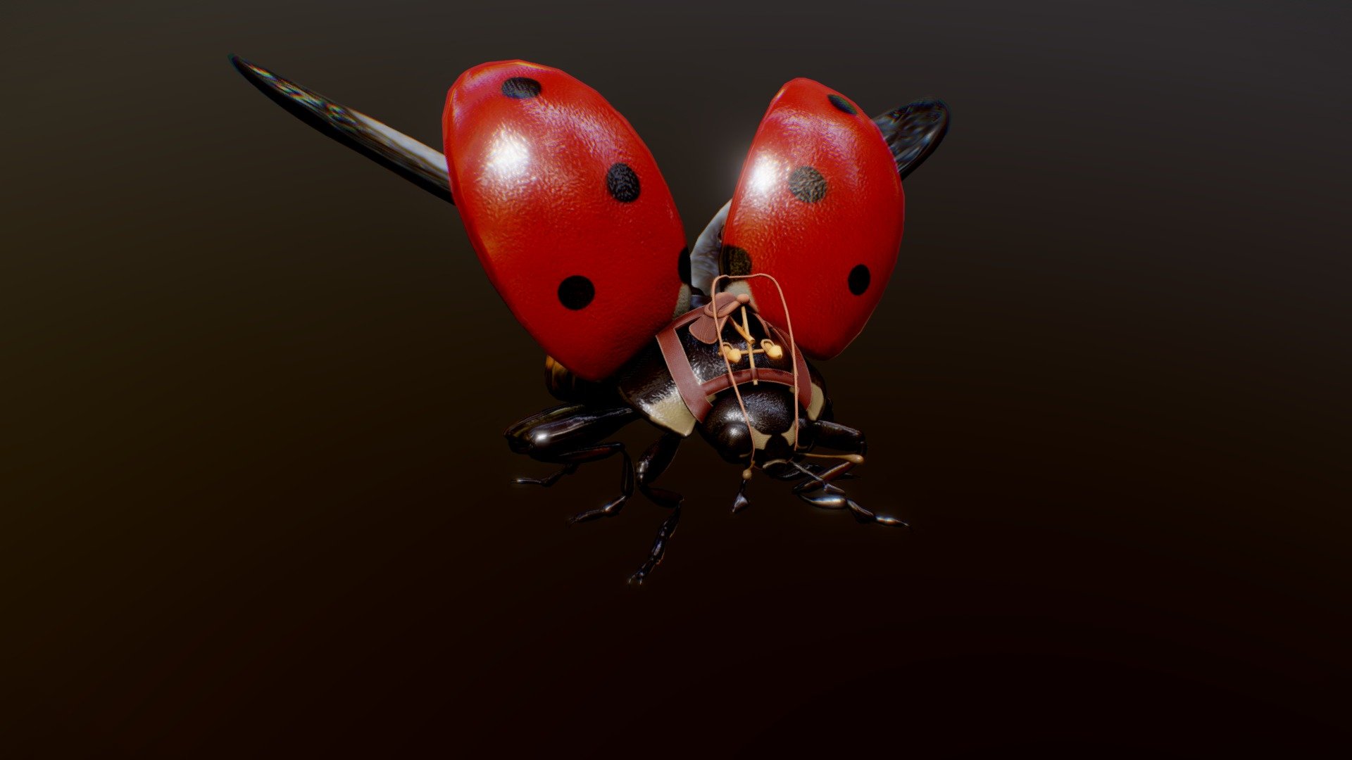 Coccy la coccinelle de compet 3d model