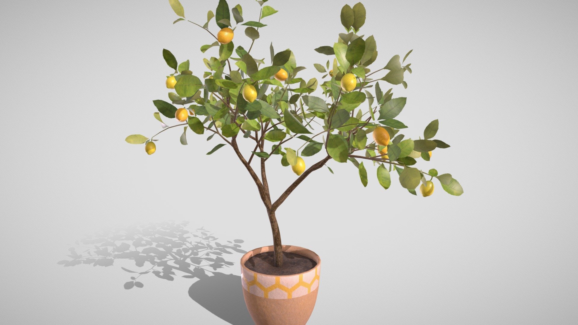 Lemon tree in a pot (3D) 3d model