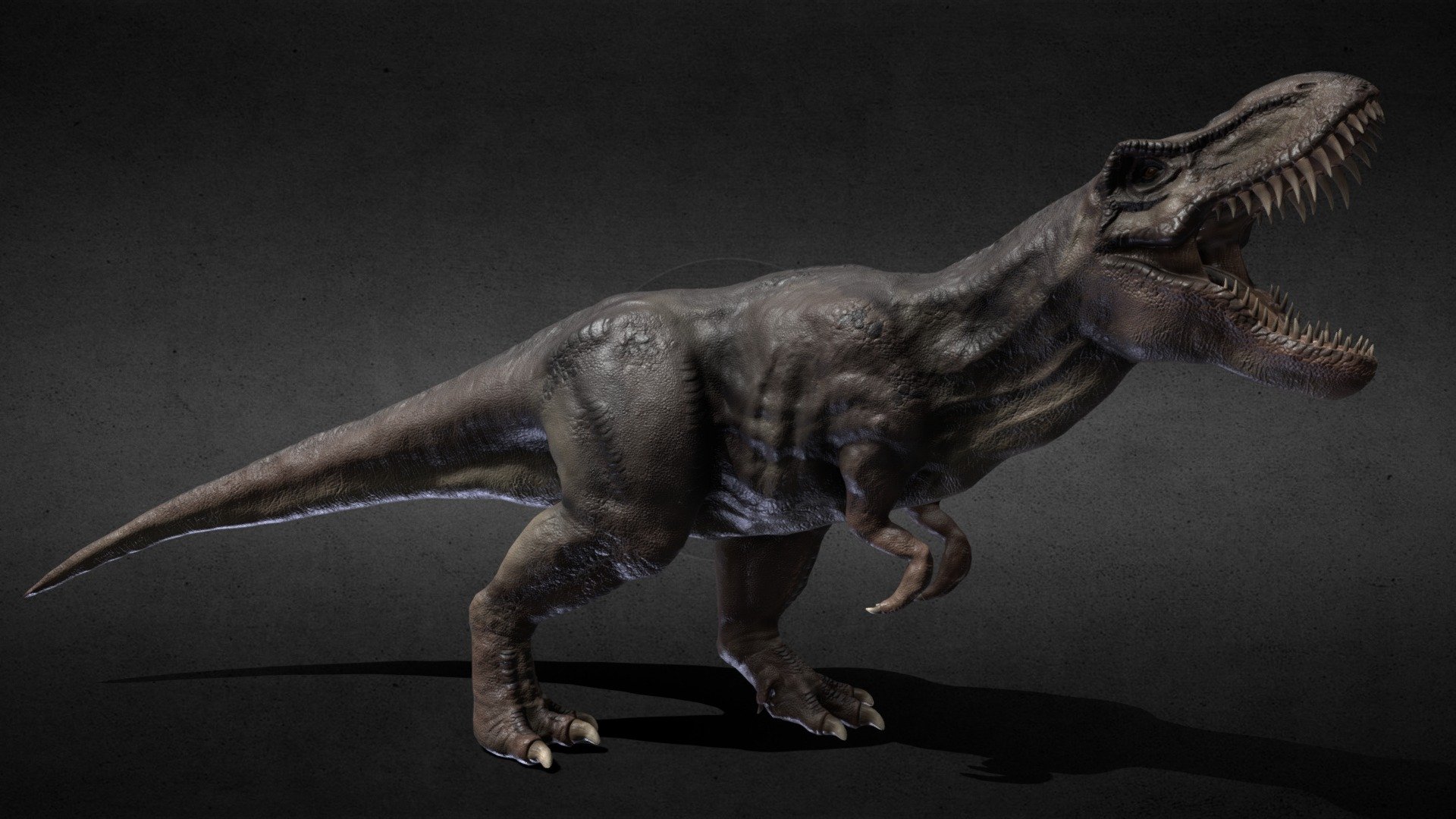 Rex 3d model