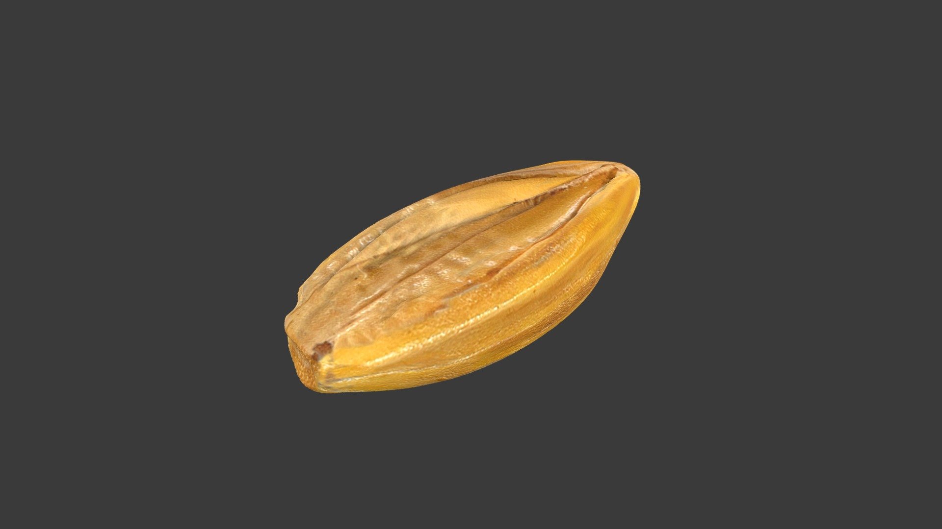 2 Row Barley 3d model