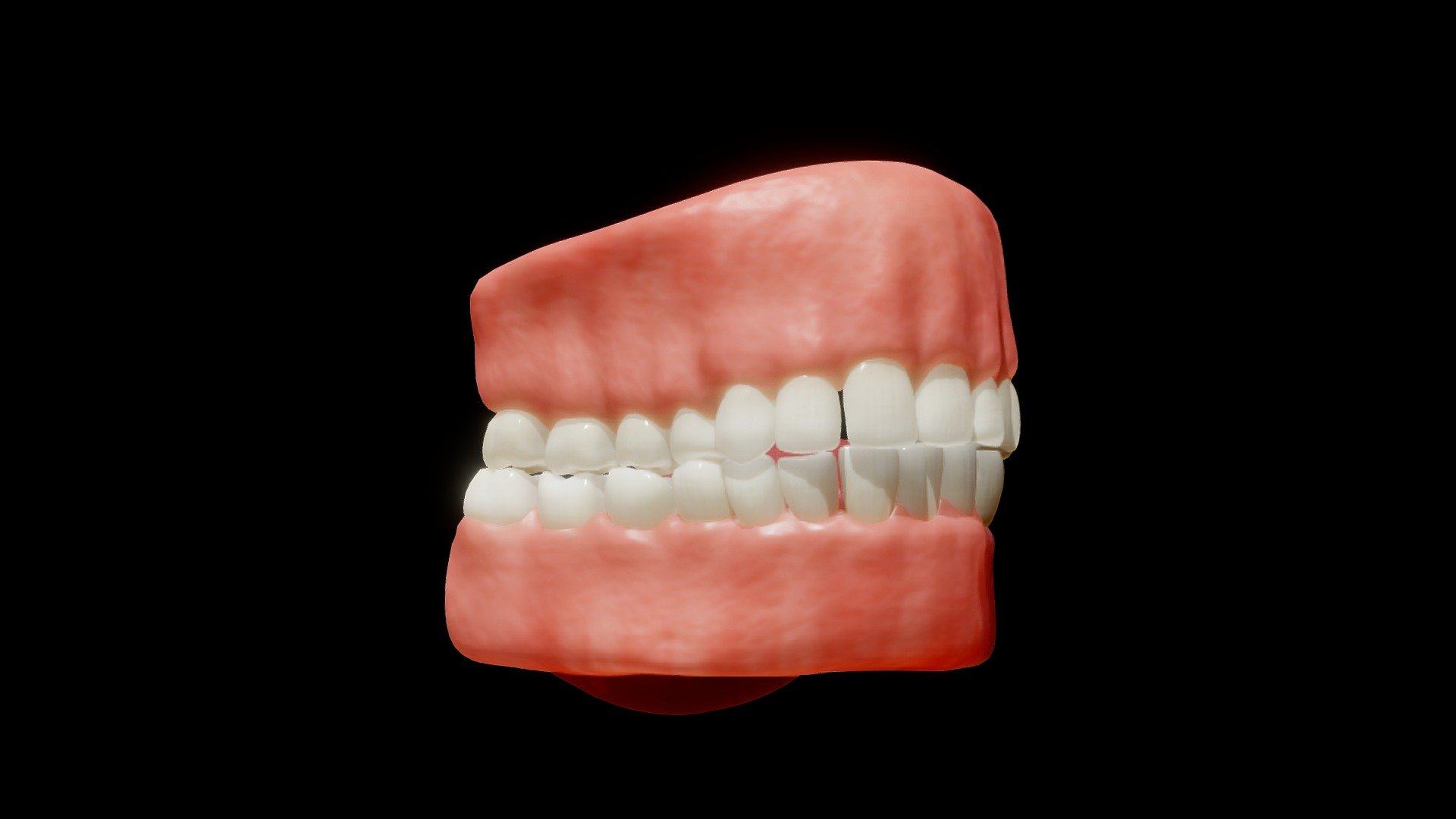 Human Mouth Animation 3d model