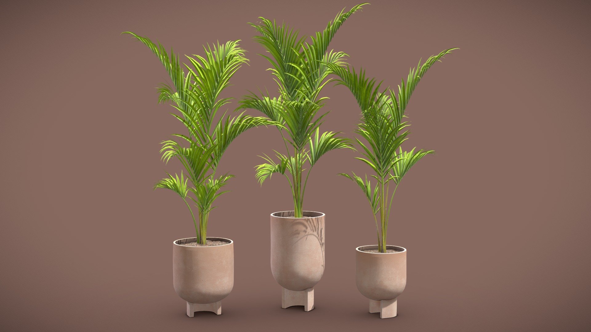 Palm Set 3d model