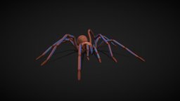 Spider Tarantula walk cycle game ready