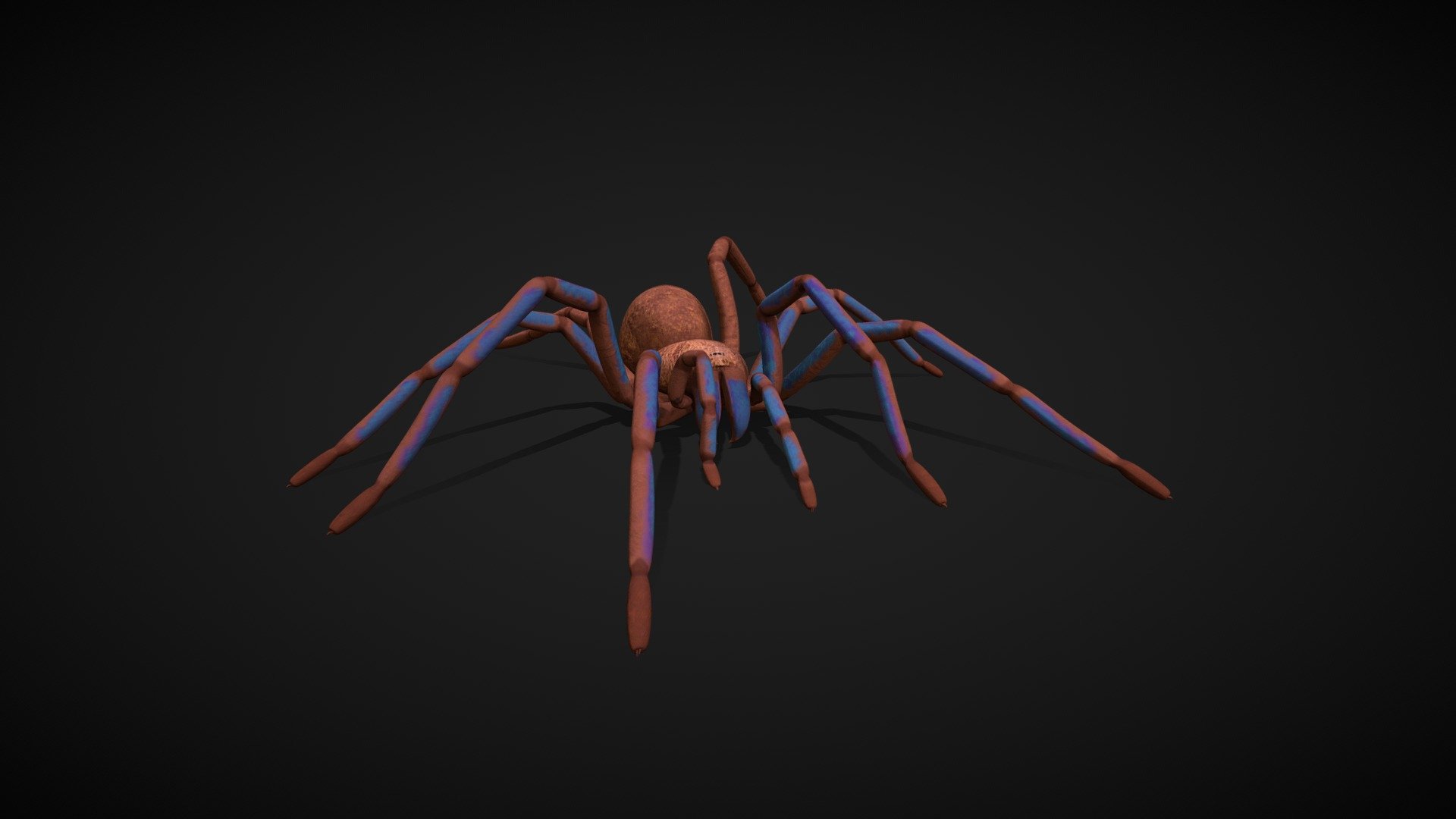 Spider Tarantula walk cycle game ready 3d model