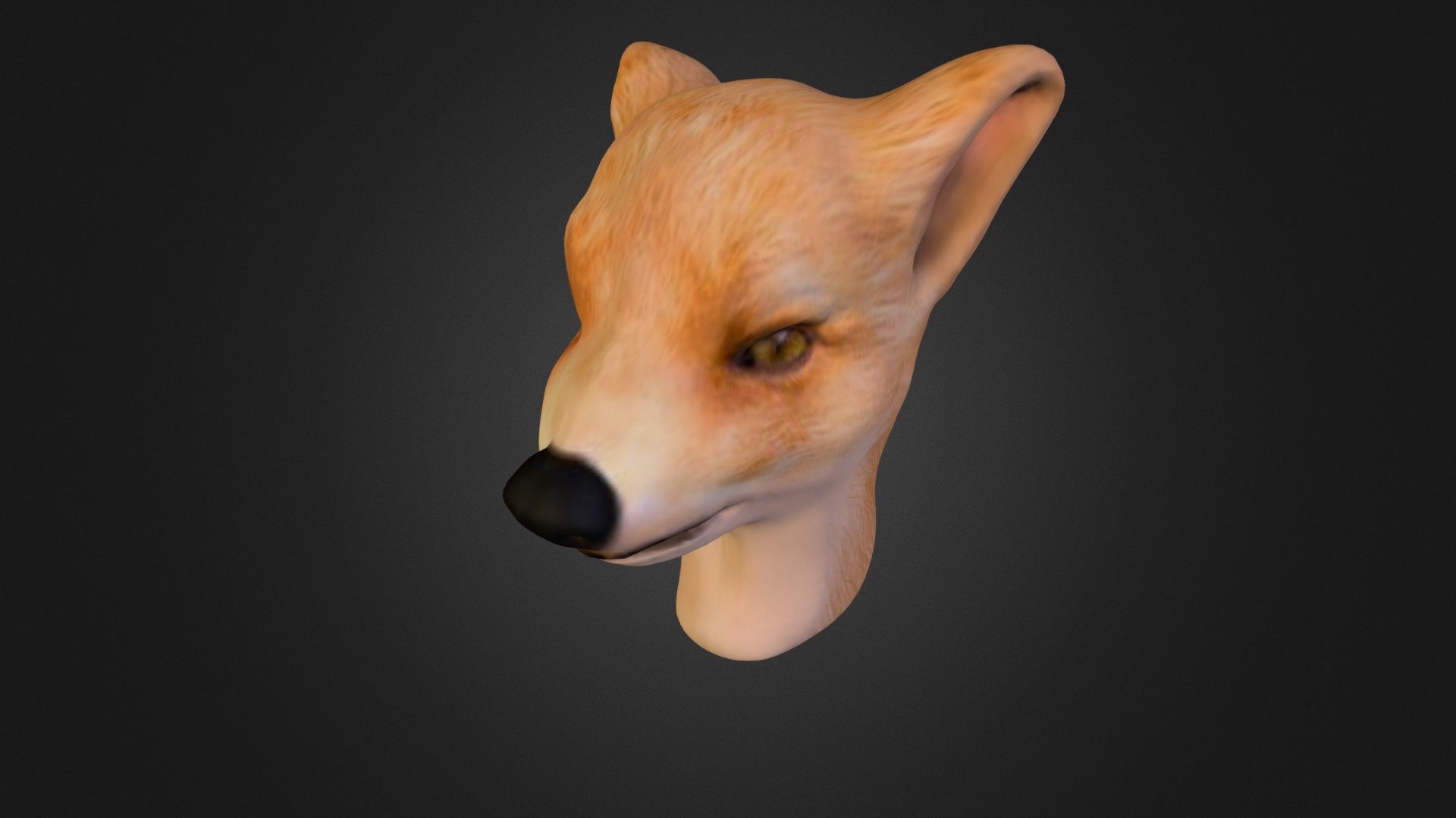 Dog Head Fox Test 003 3d model