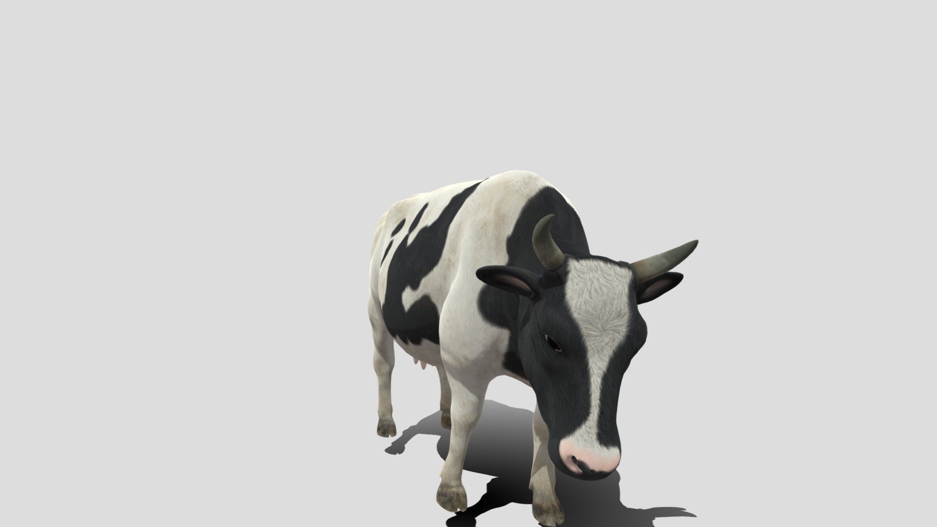 Cow frame test 3d model