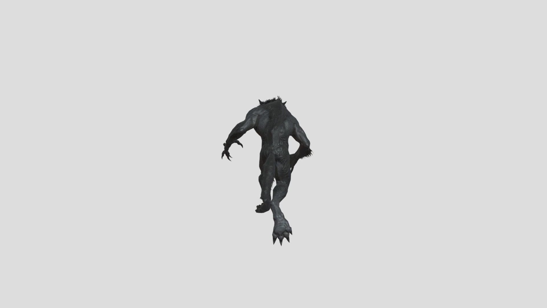 Wolfman run 3d model