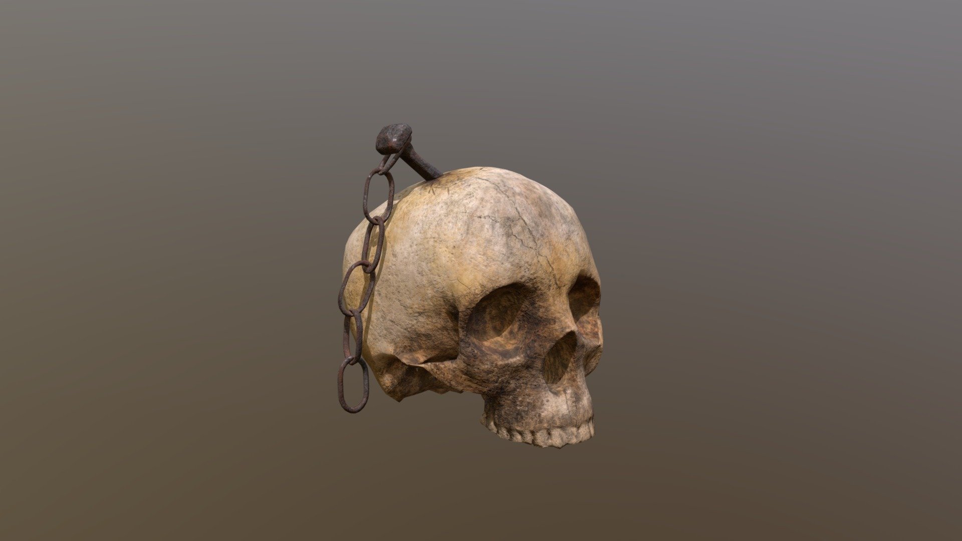 Old Impaled Skull 3d model