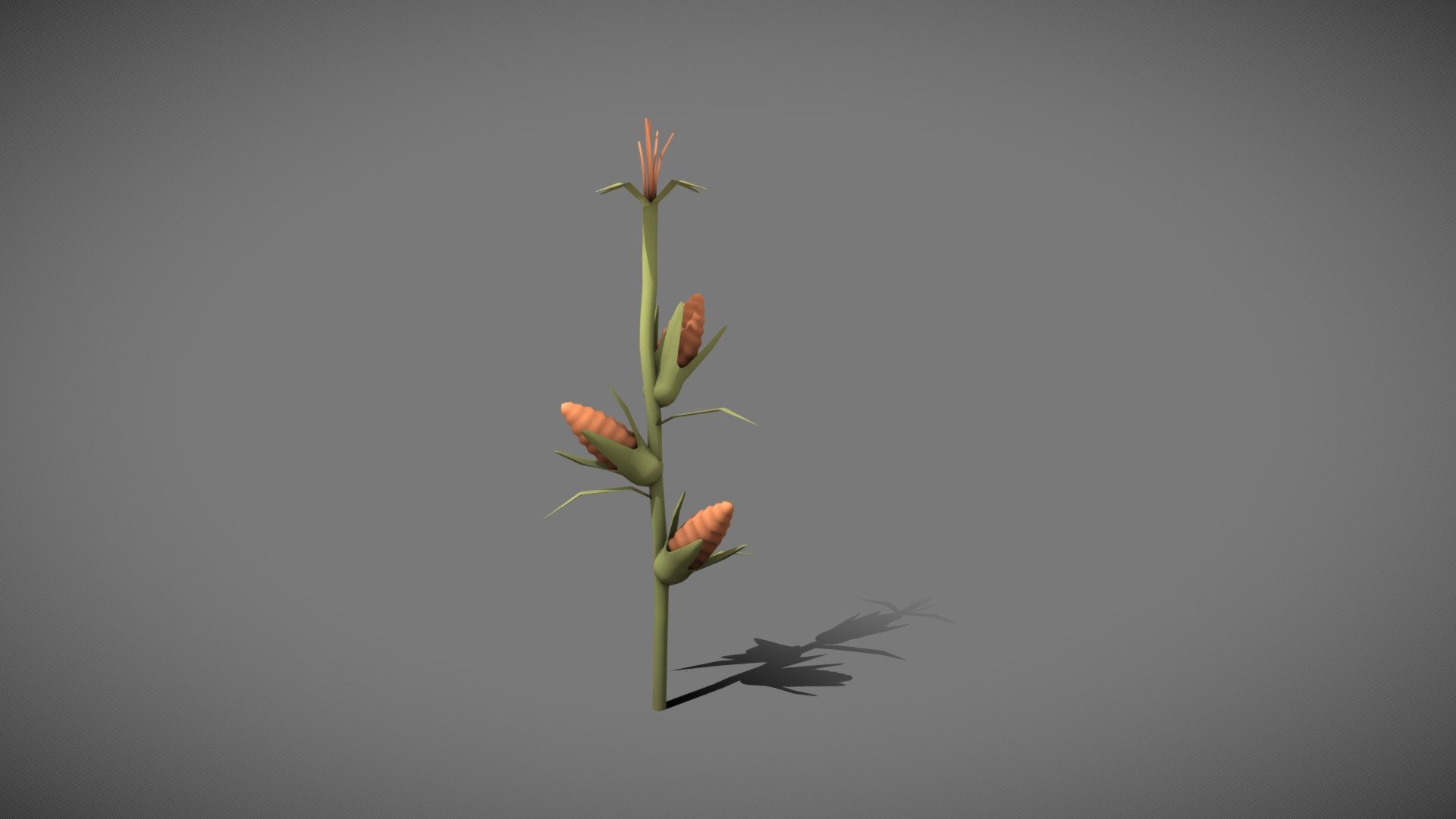 Corn Stalk 3d model