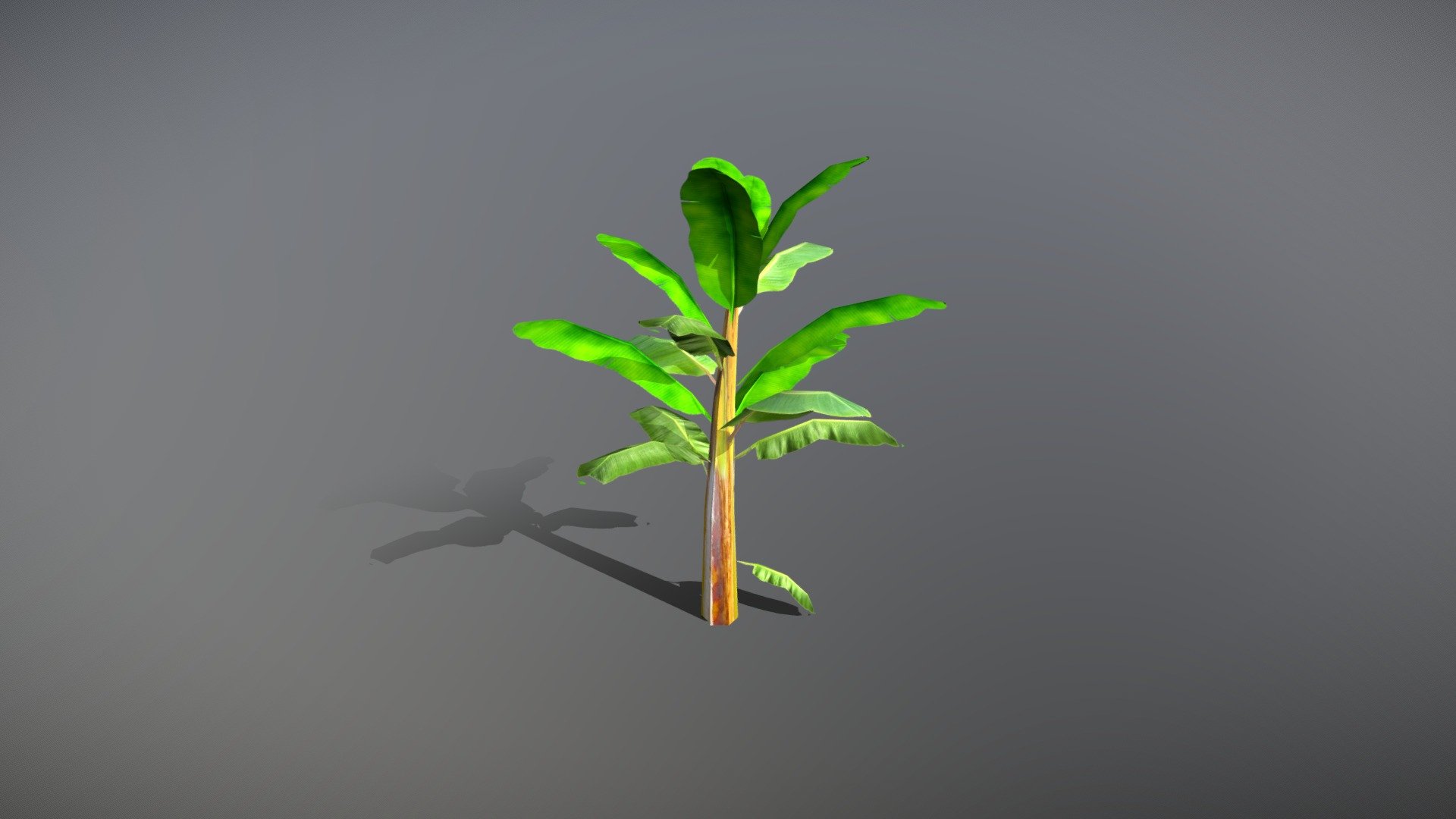 Banana Tree optimized for mobile game 3d model