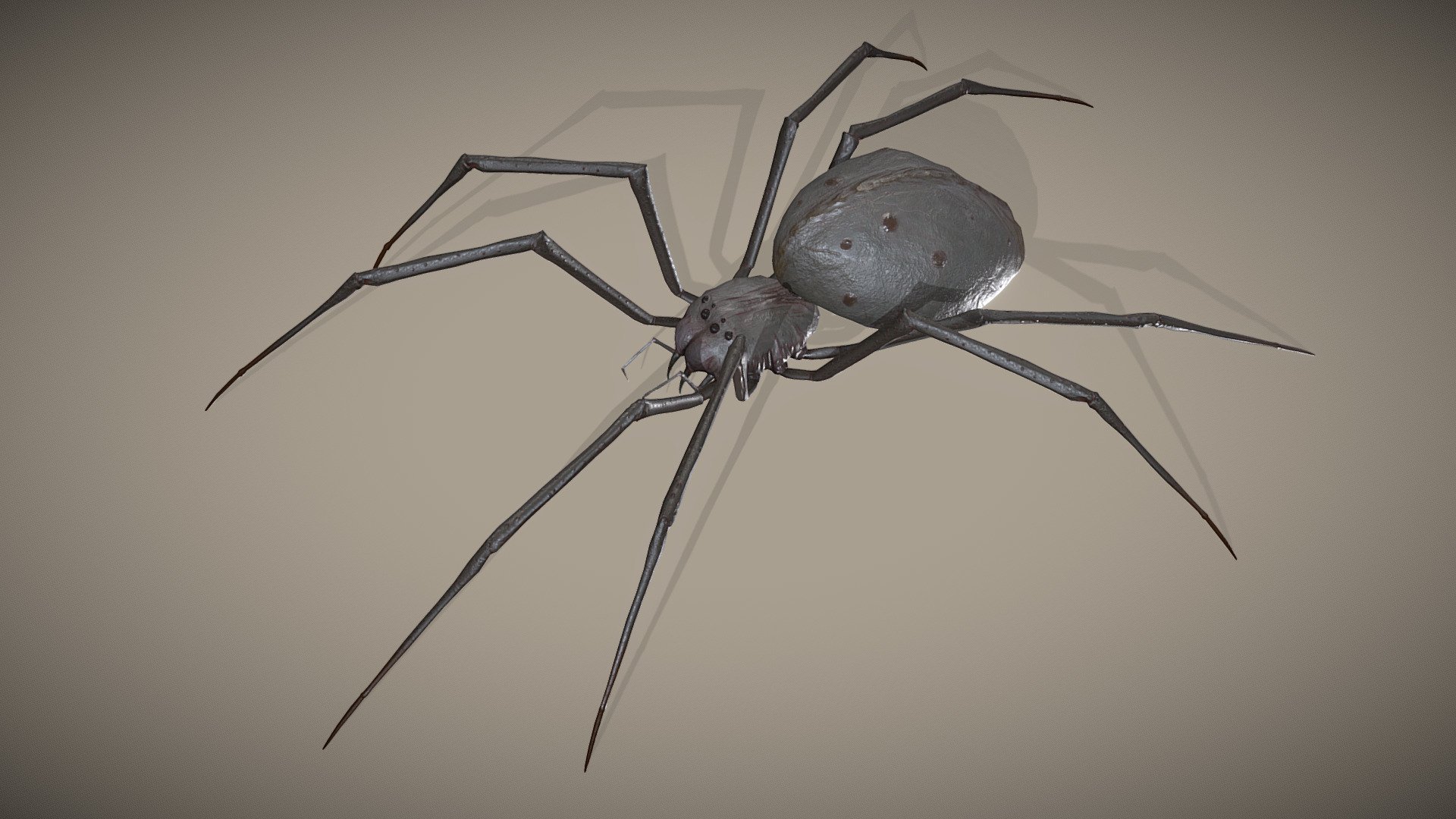 Spider Monster 3d model