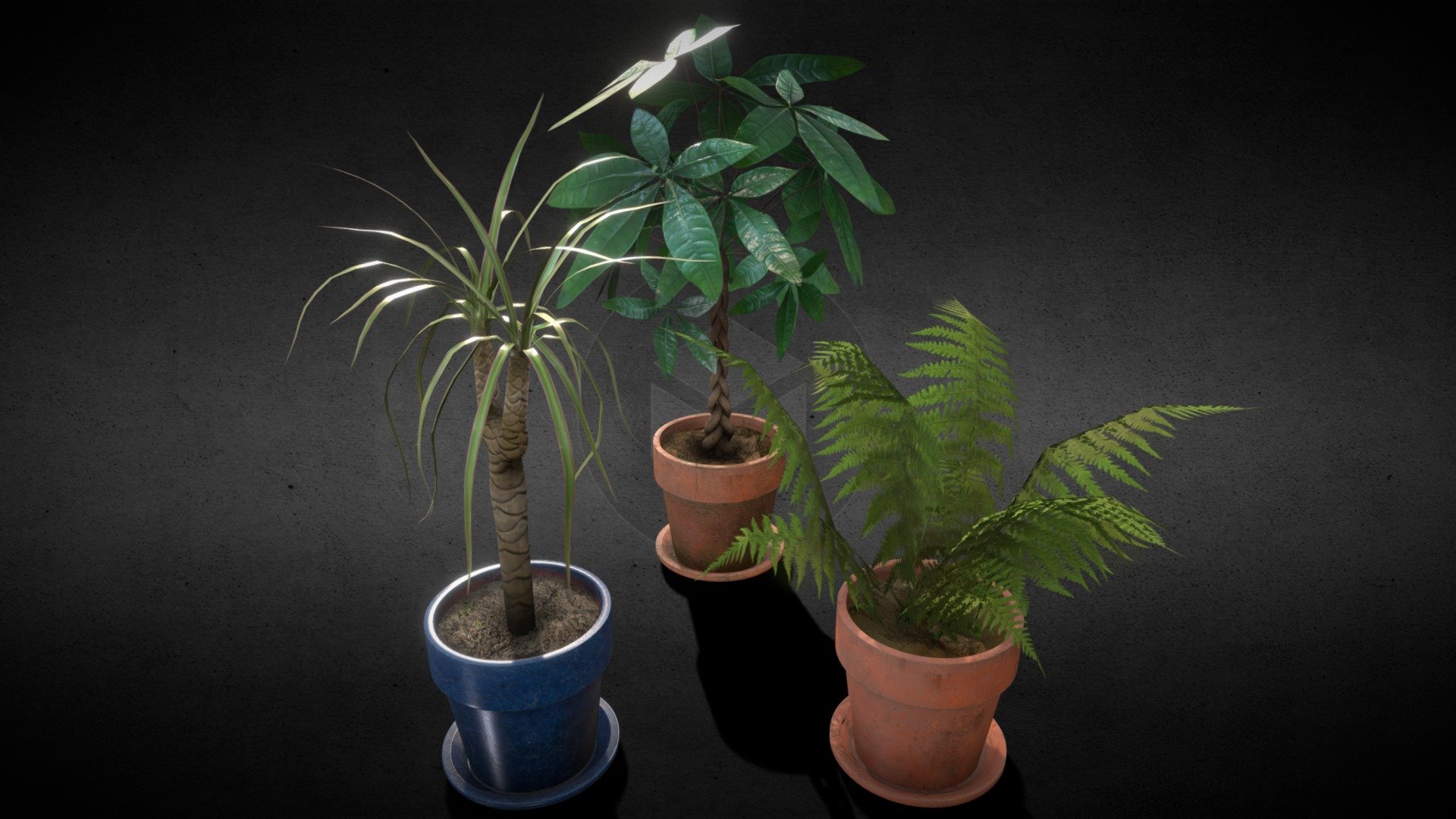 [Set] Indoor plants with flower pots 3d model