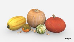 Pumpkin, squash and gourds collection