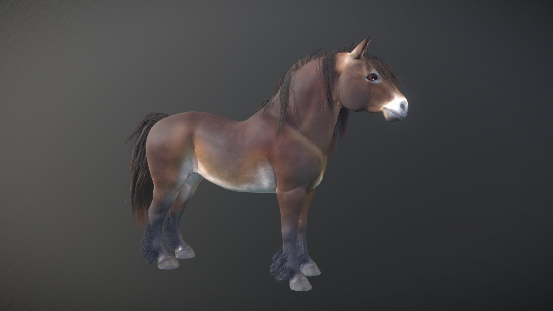 Chonky Horse 3d model