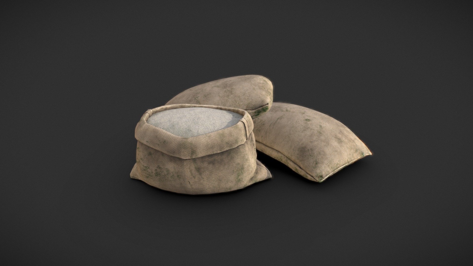 Bag rise 3d model