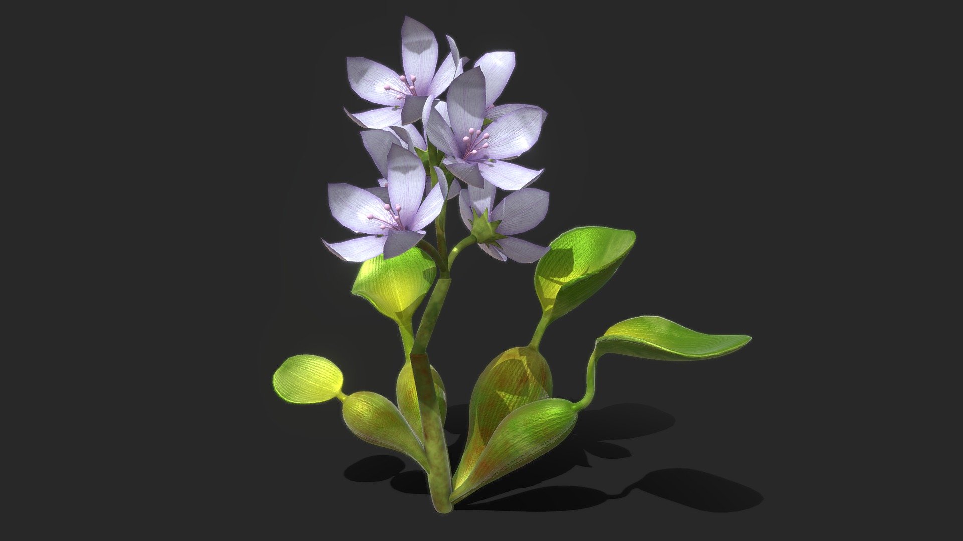 WaterHyacinth 3d model