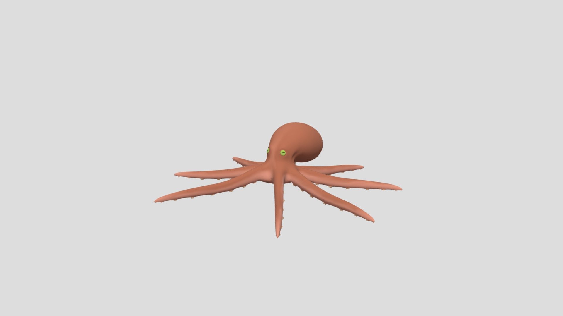 Octopus 3d model