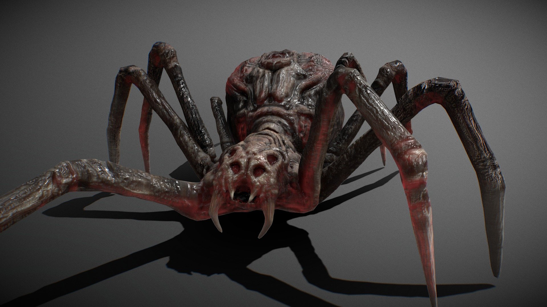 Giant Spider Animated 3d model