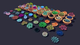 Succulent Plant Pack 01