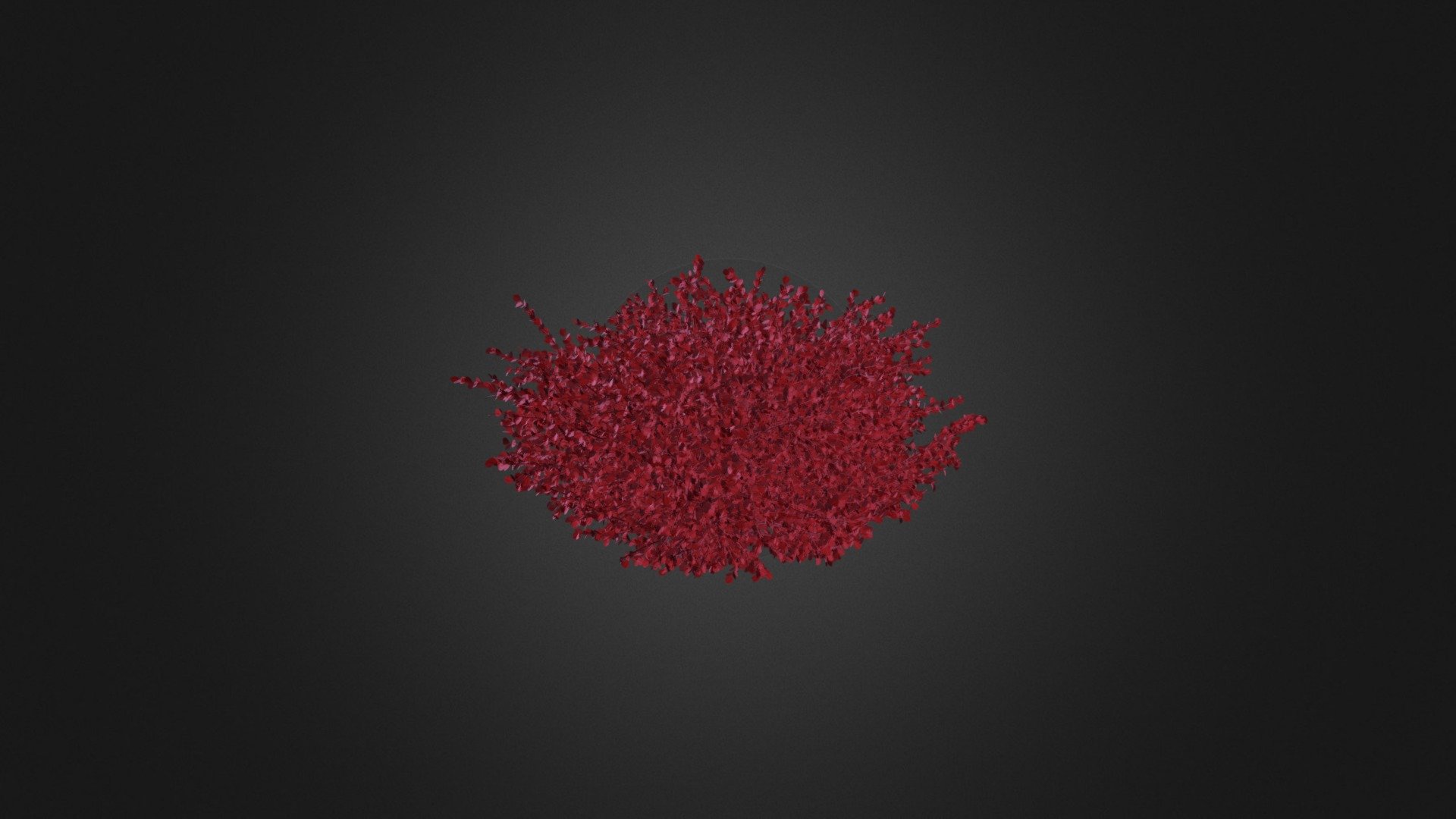 Red Leaf Japanese Barberry 3d model