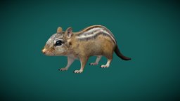 Chipmunk Tamias (lowpoly)