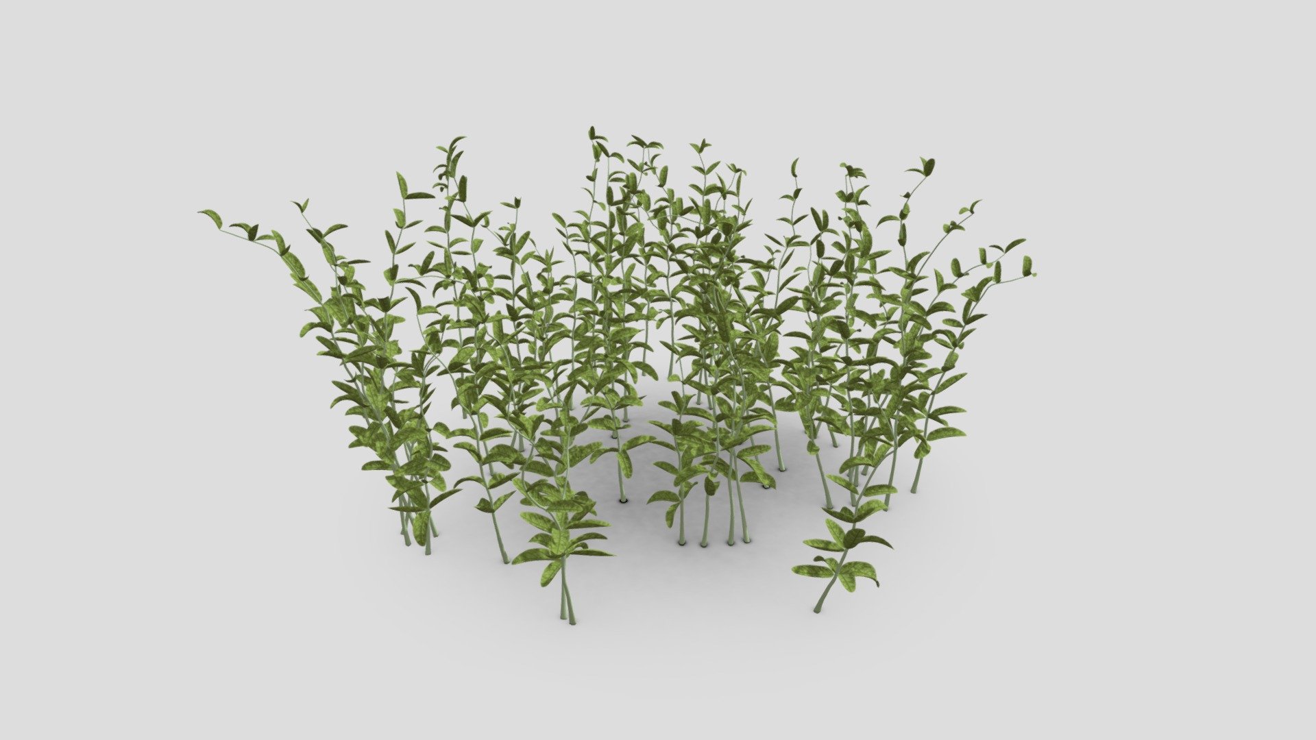 Plant to CleverAI 3d model