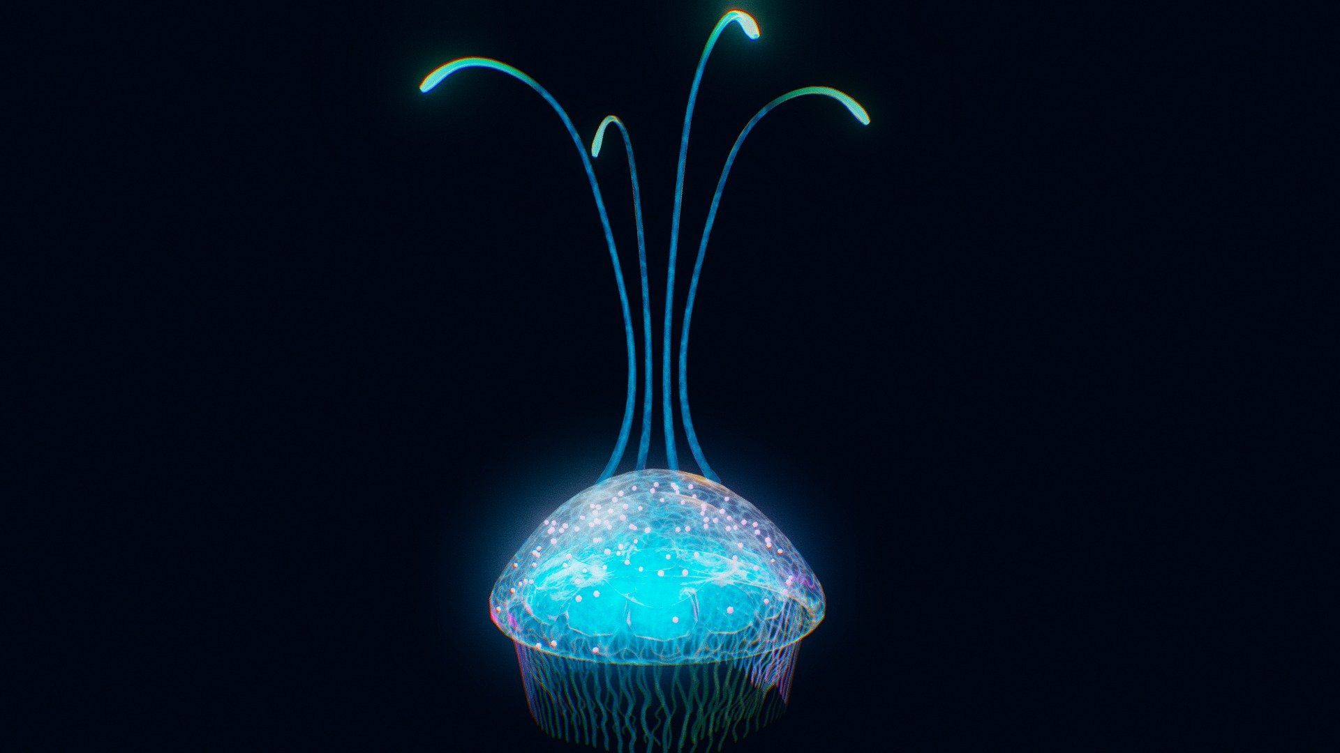 jellyfish 3d model