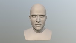 Jesse Pinkman bust for 3D printing