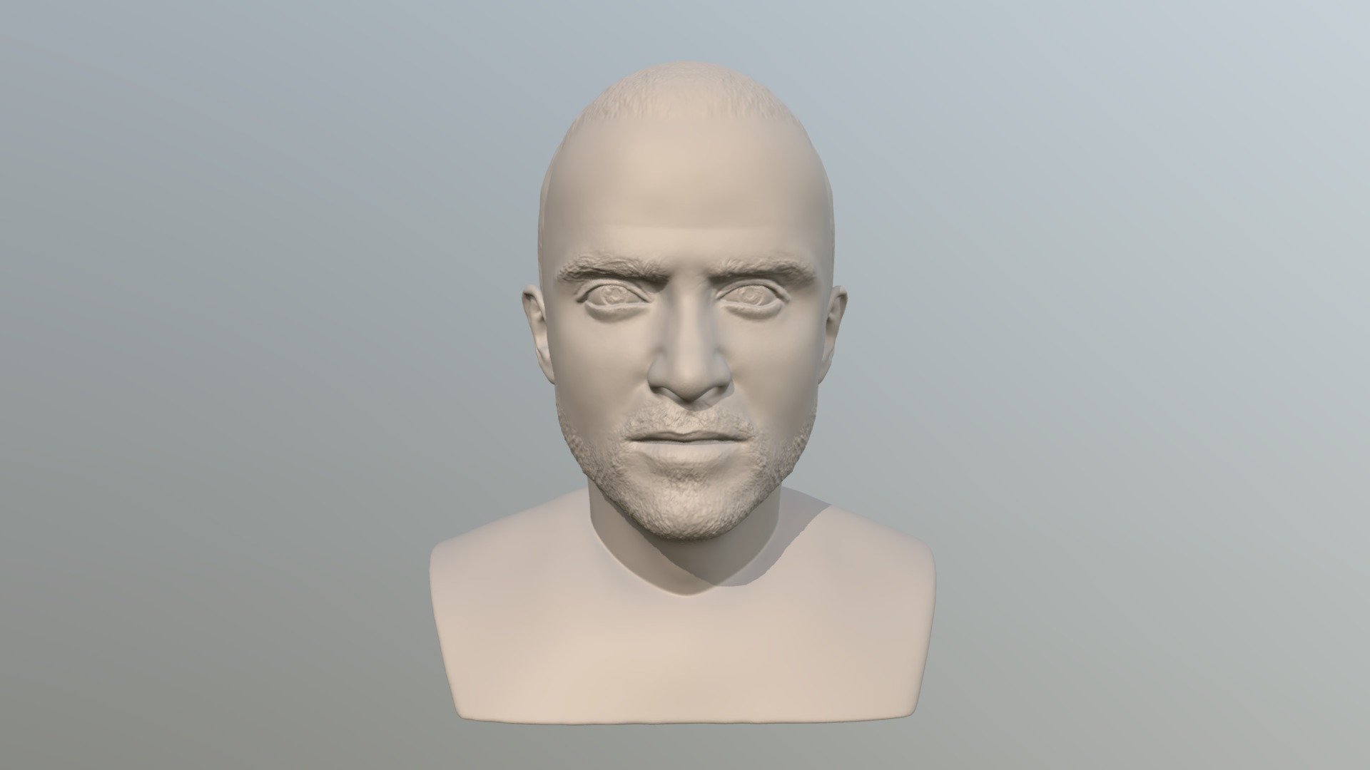 Jesse Pinkman bust for 3D printing 3d model