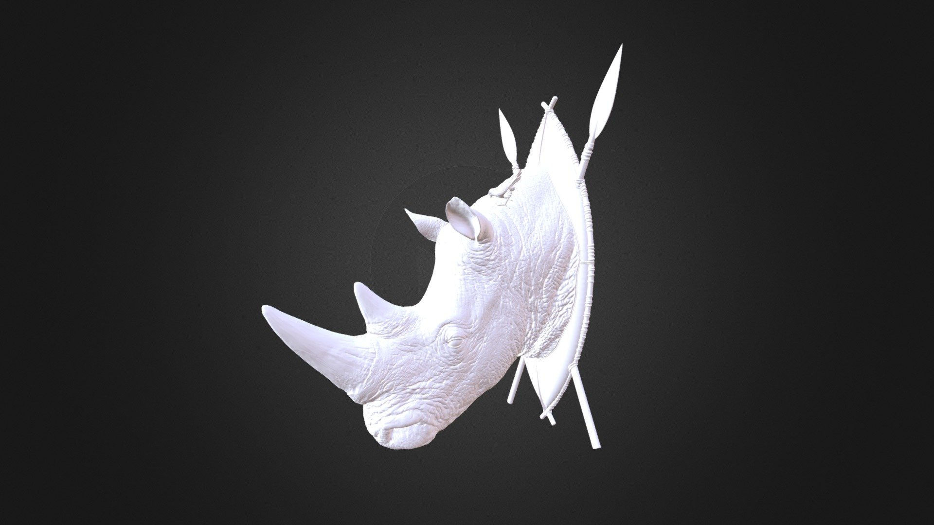 white rhino 3d model