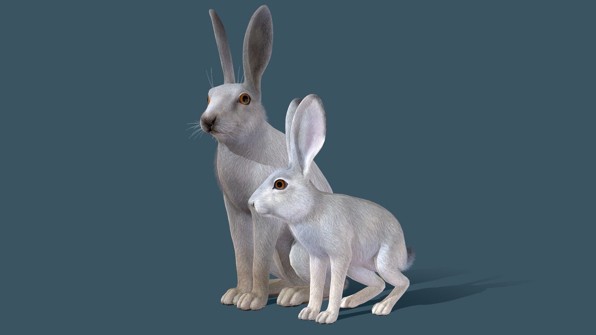 Hare Family 3d model