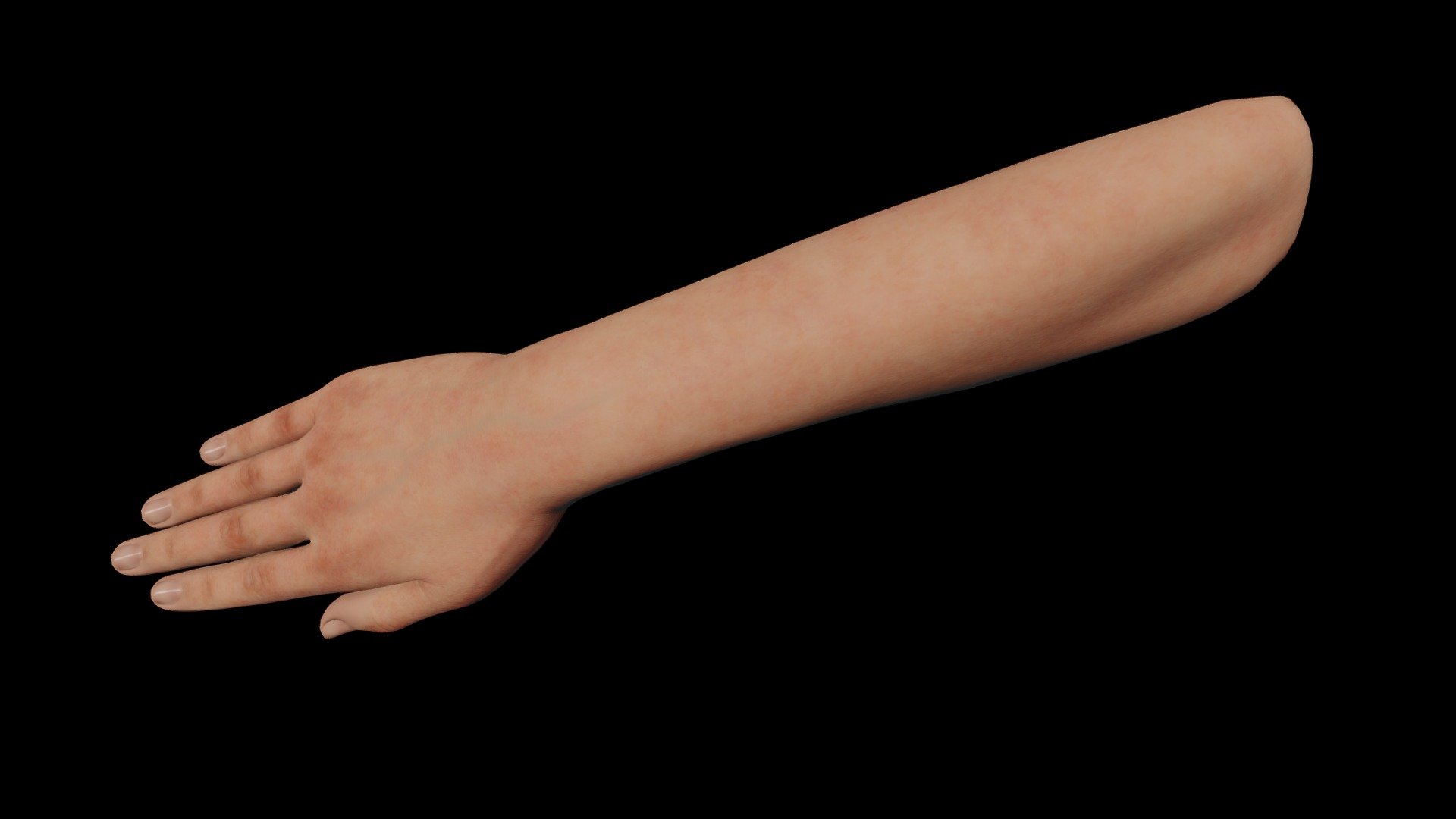 Right Hand 3d model