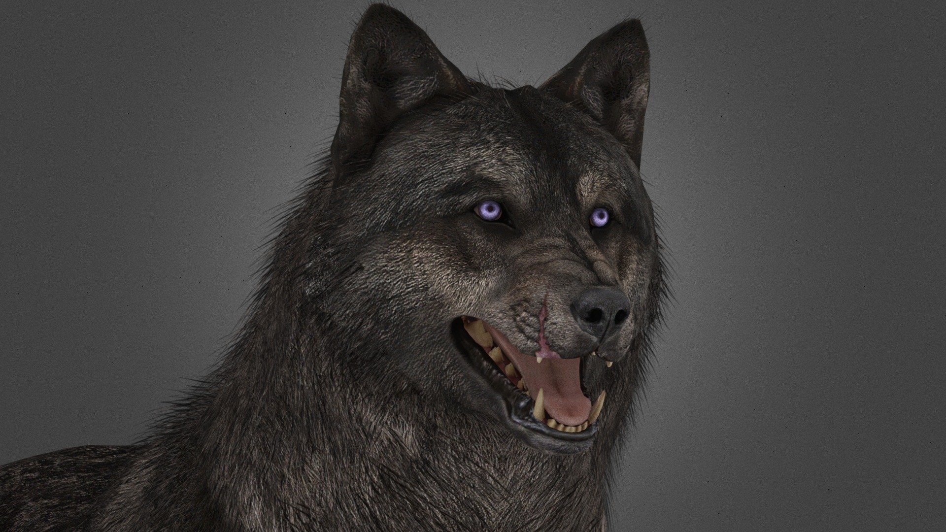 COD: Ghosts Wolf [+Puppy] 3d model