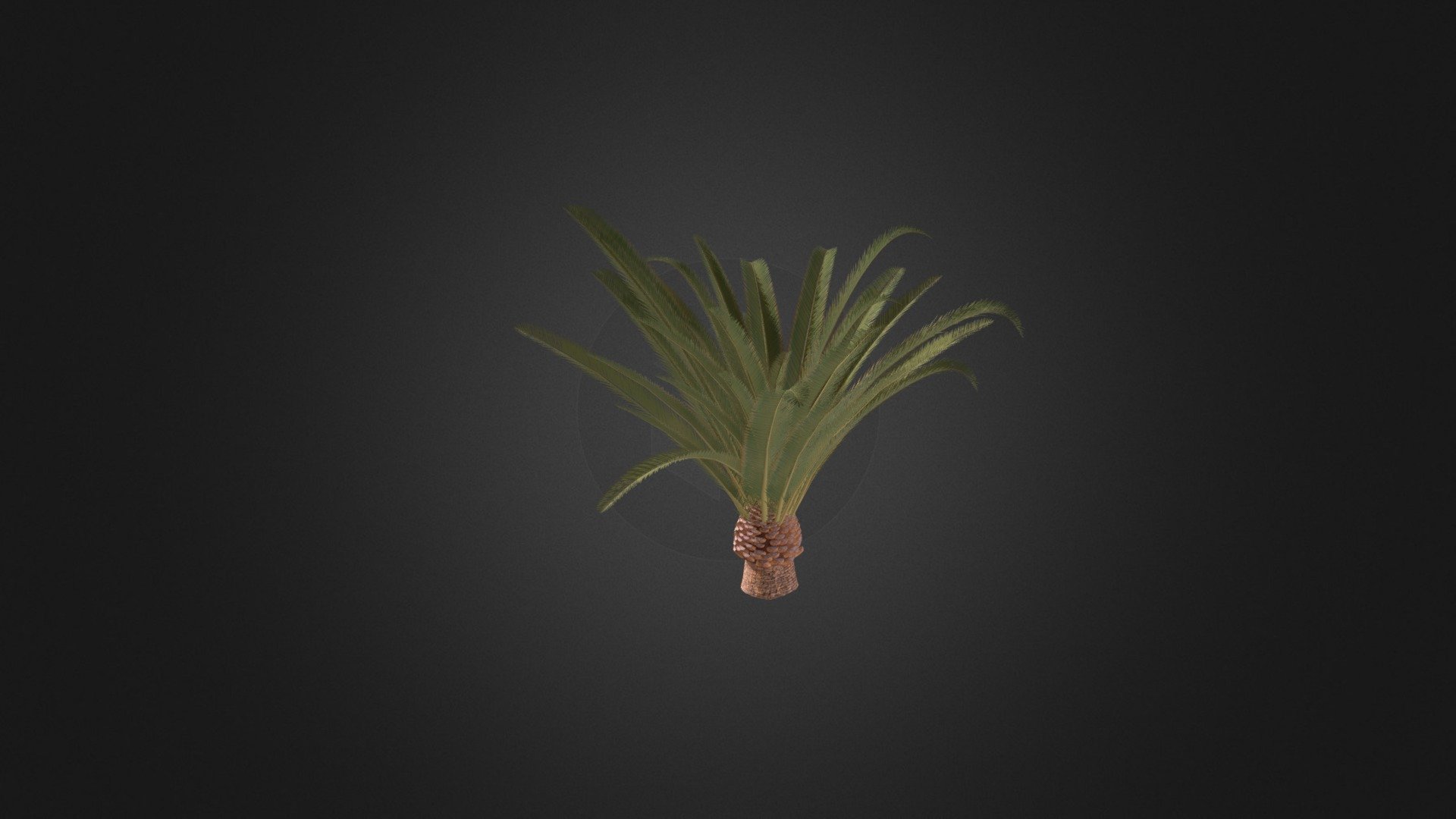 Pineapple Palm 3d model