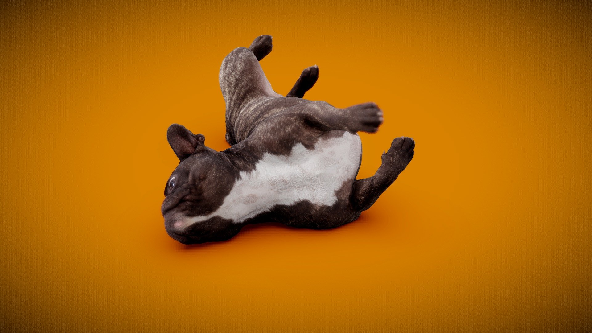 DOG B 3d model