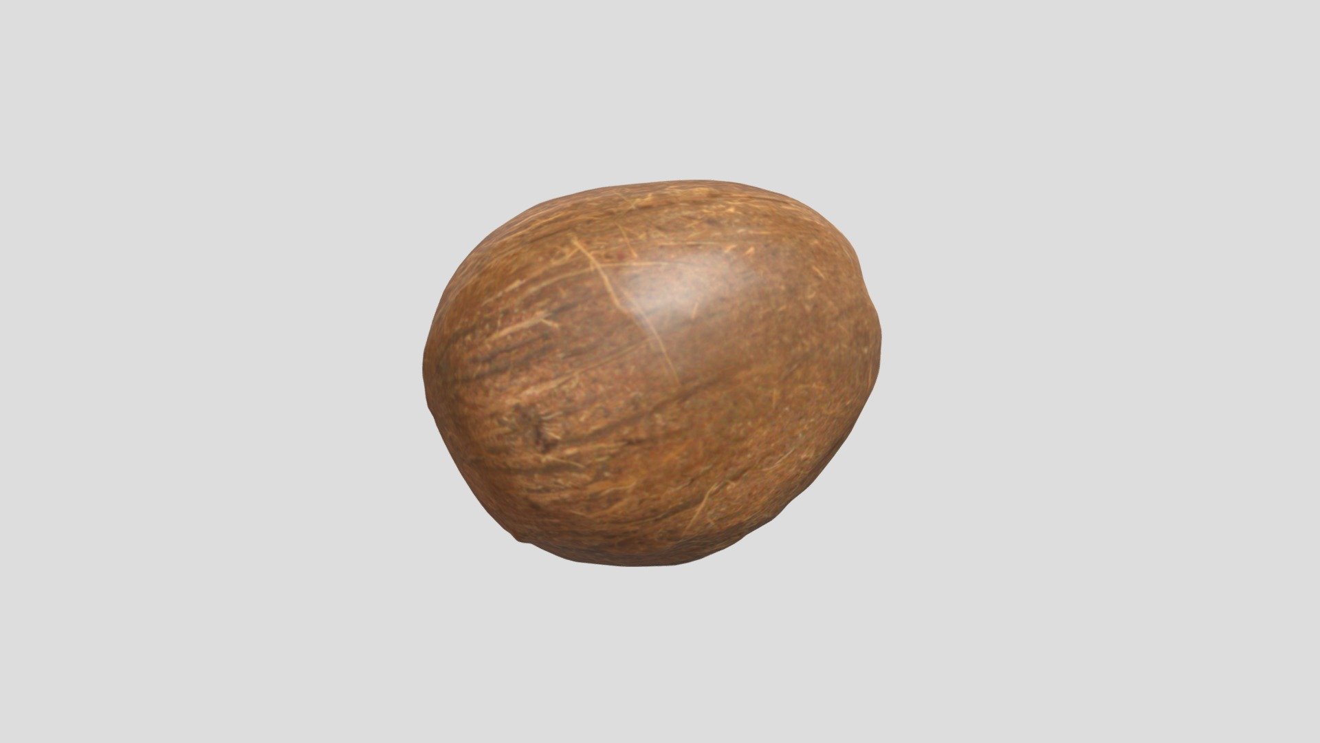 Coconut 3d model