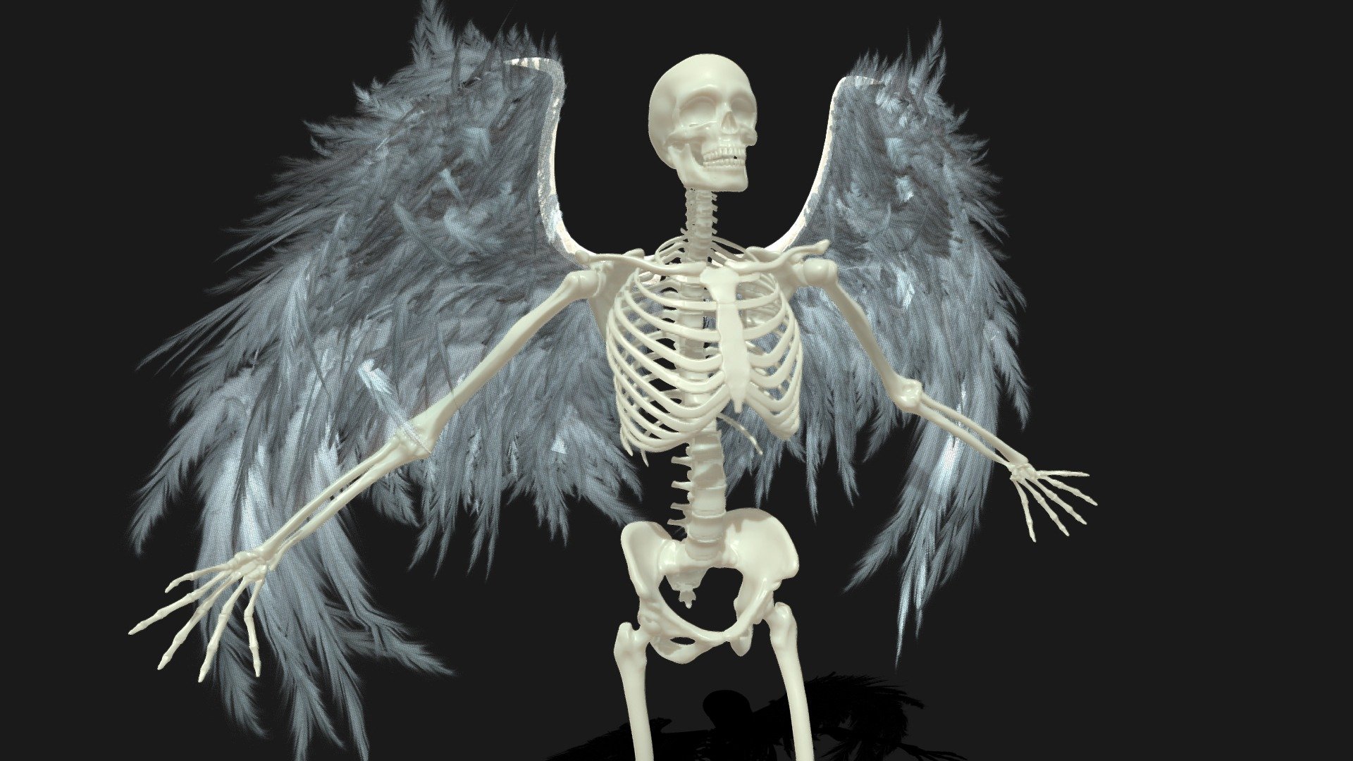 Skeleton 1 3d model