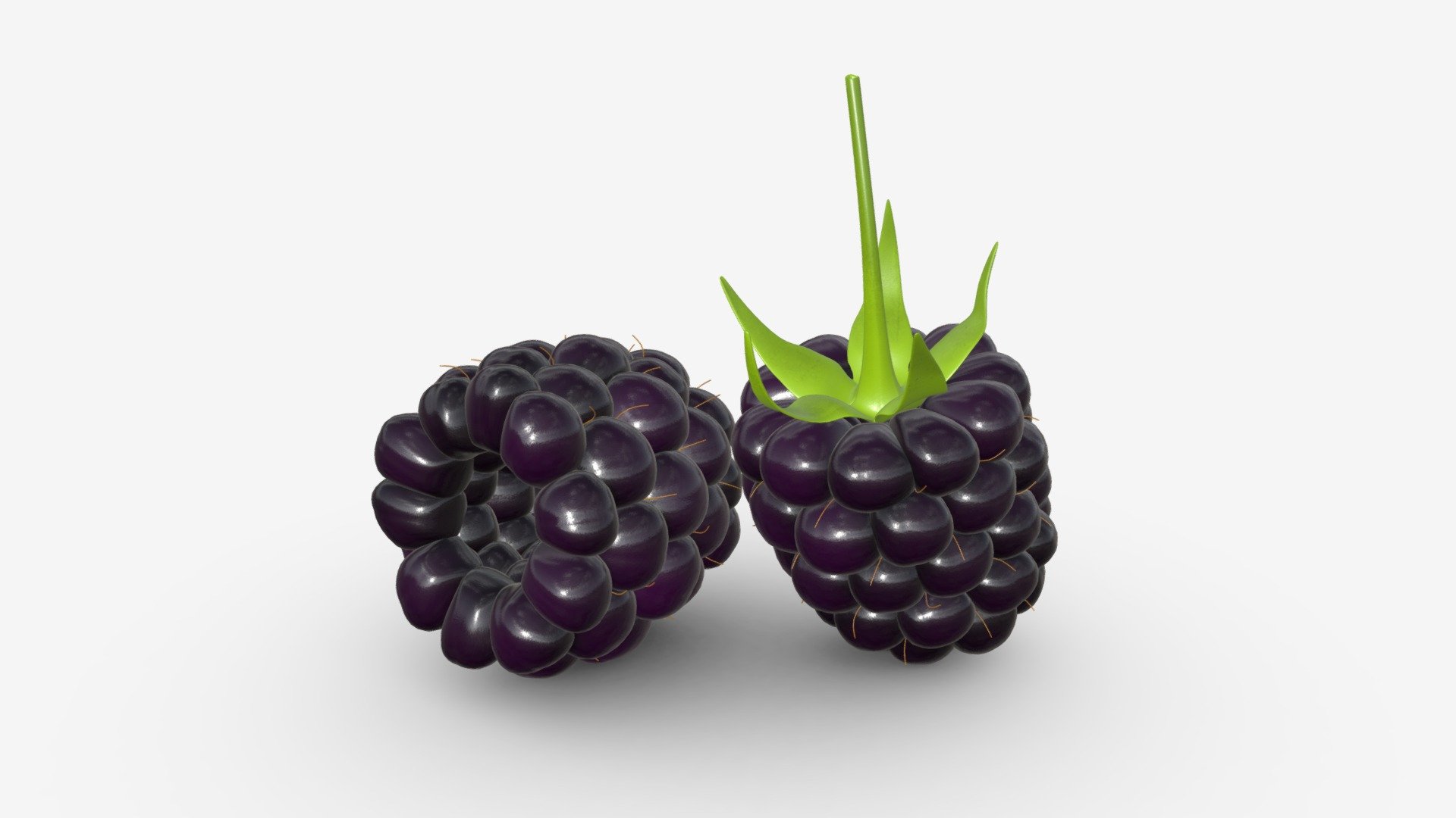 Blackberry 3d model