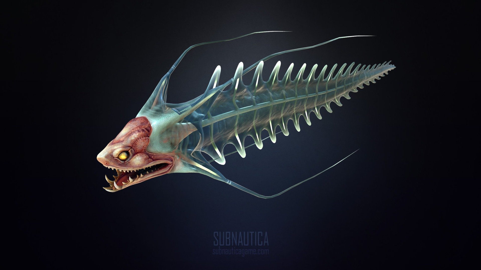 Spine Eel 3d model