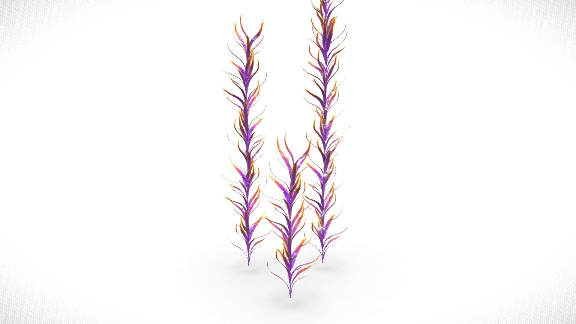 Alien Ocean Fantasy Plant 3d model