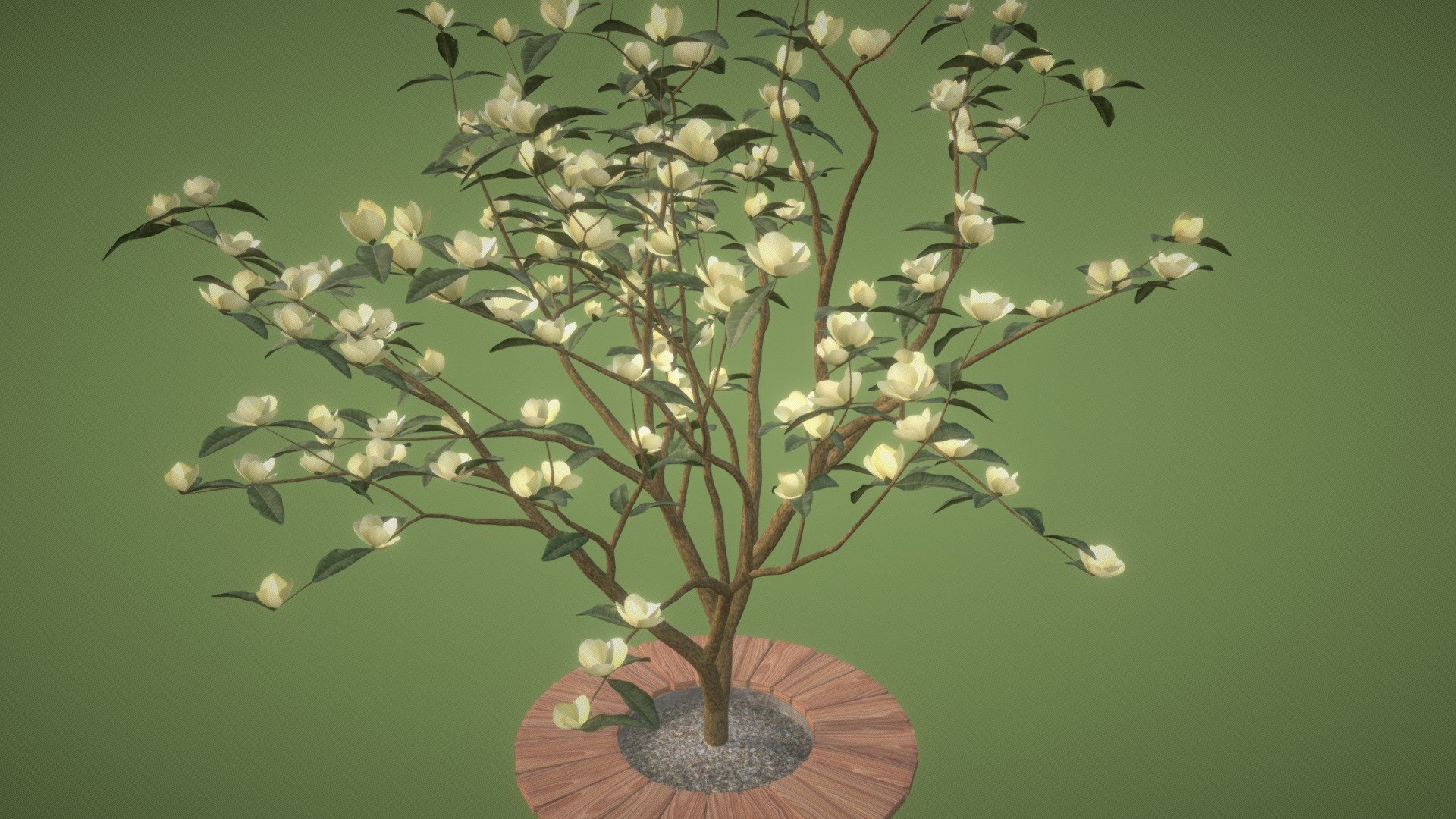 Magnolia Yellow 3d model