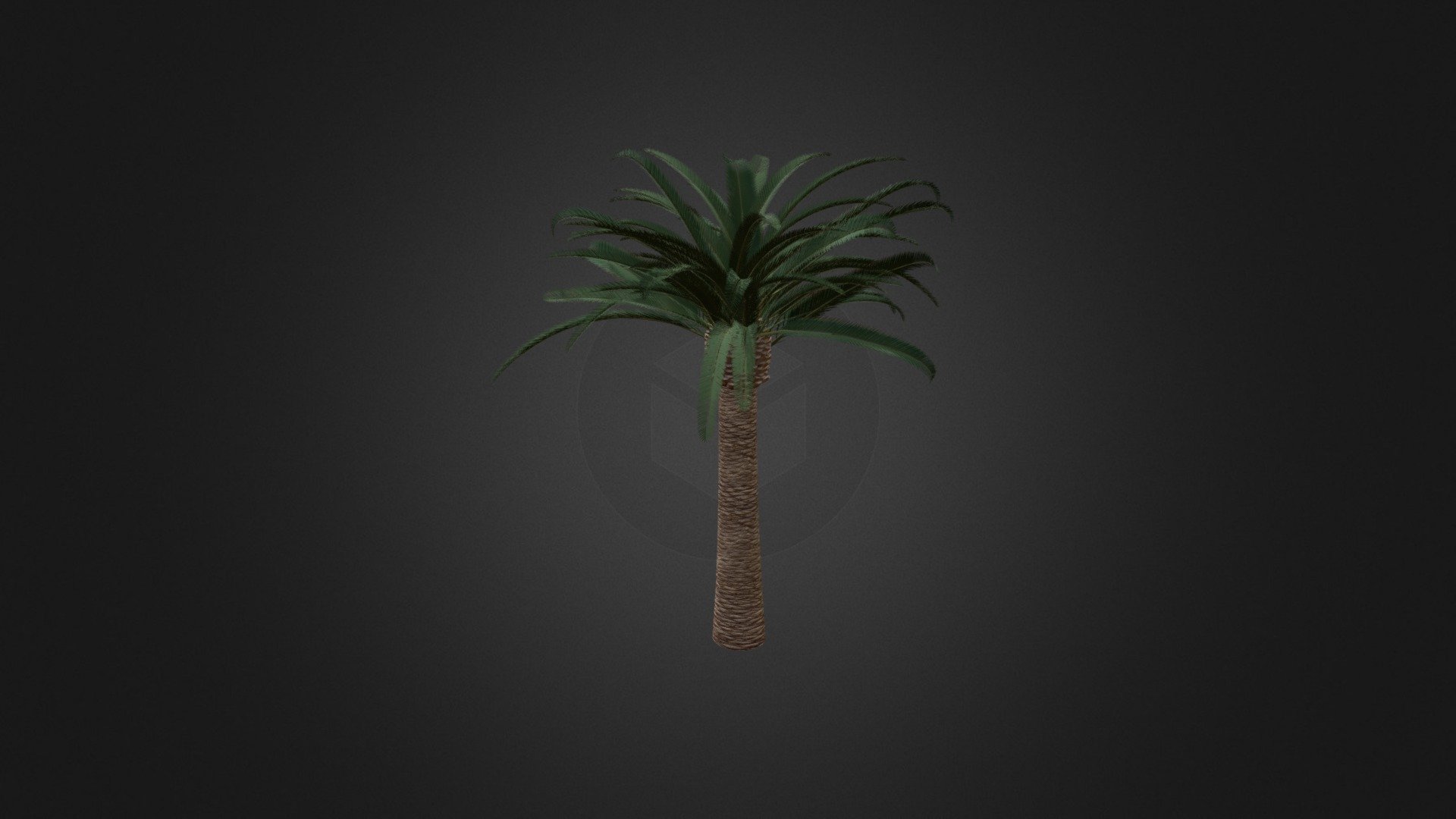 Pineapple Palm 3d model