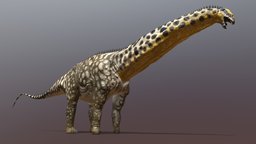 Brontosaurus excelsus