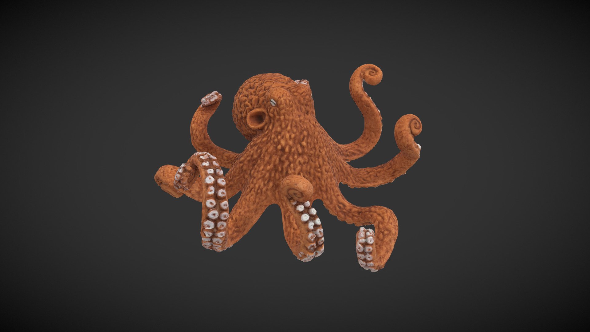 Octopus Toy 3d model