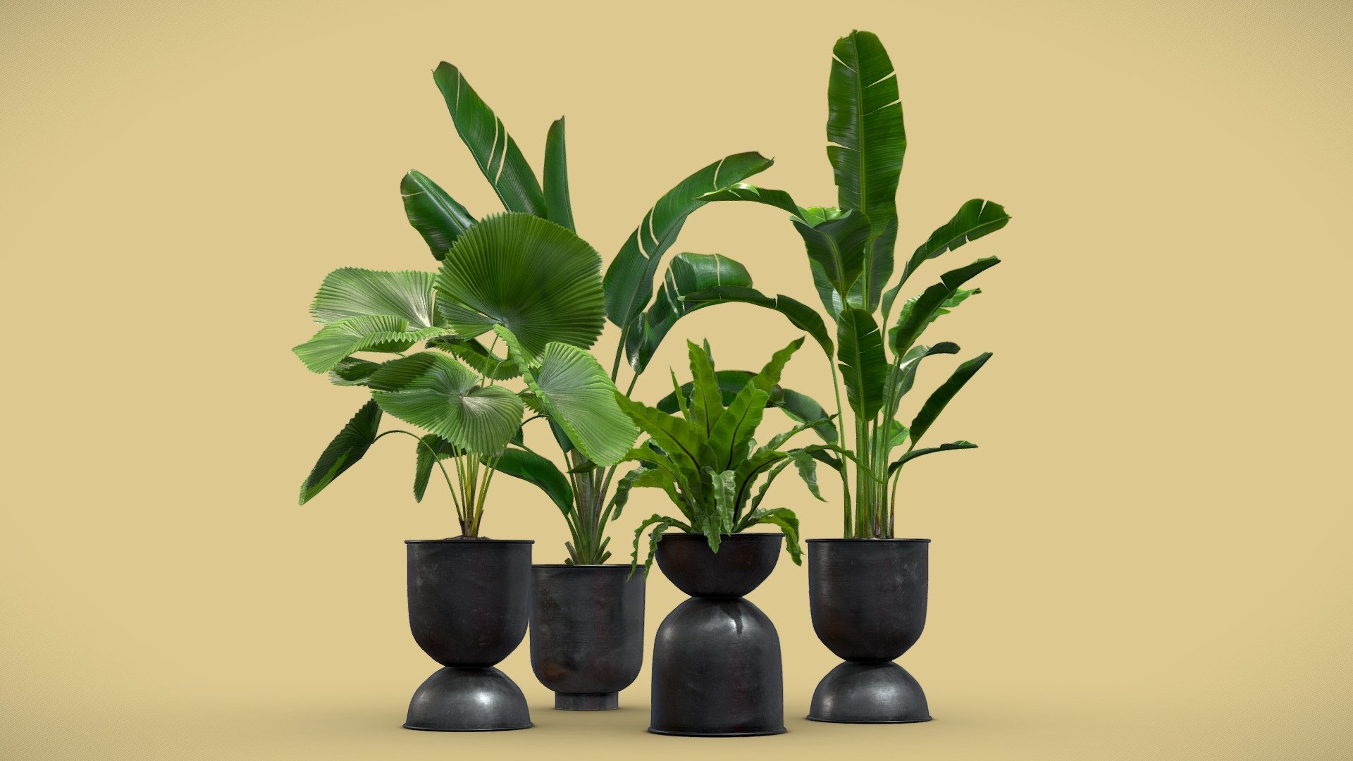 Indoor Plants Pack 13 3d model