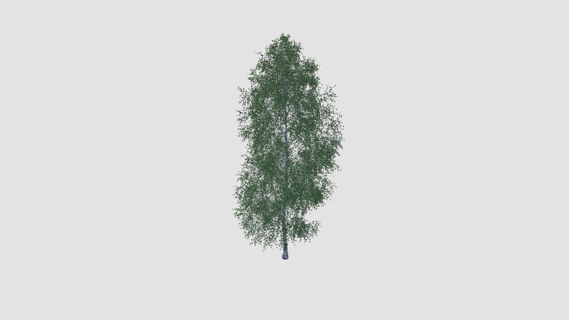 tree 3d model