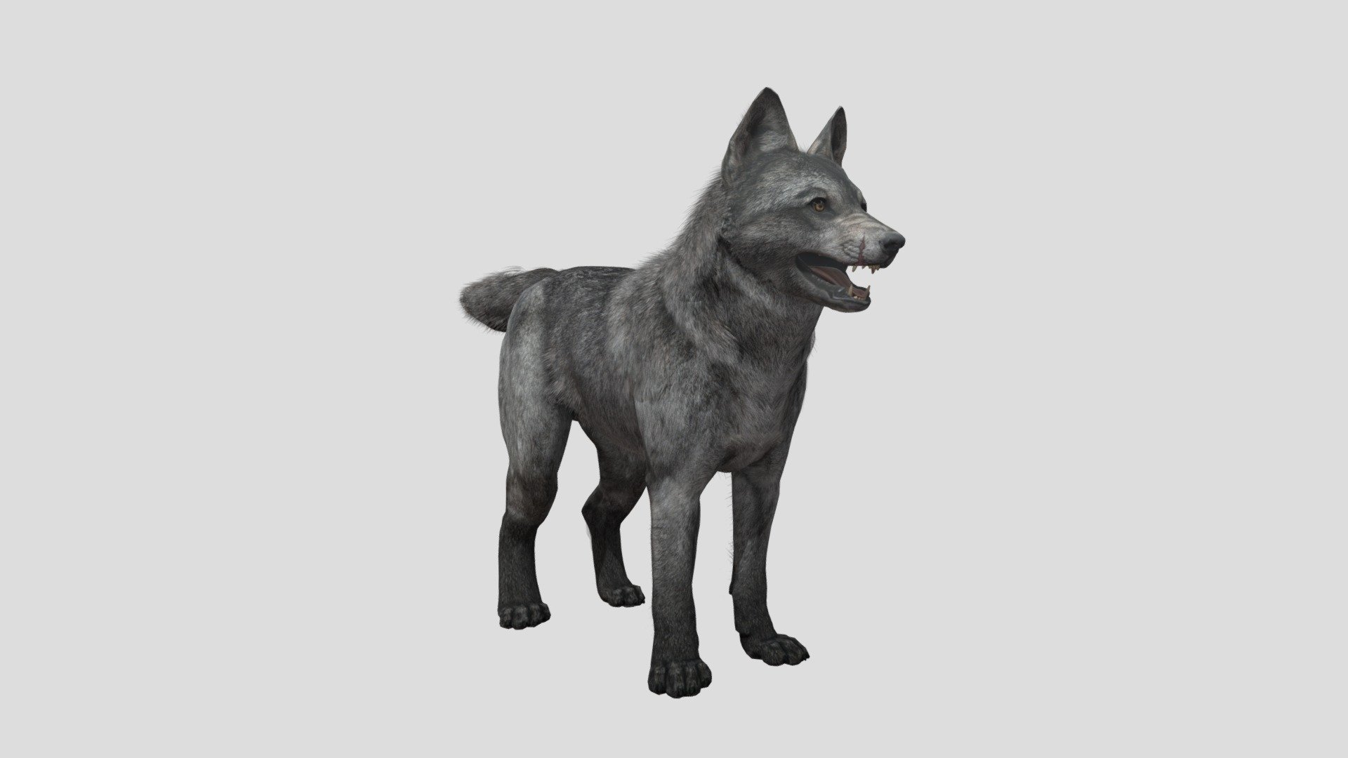 [Fan-made] COD: Ghosts Wolf Pup 3d model