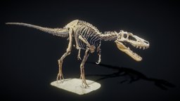 Juvenile Tyrannosaurus Rex